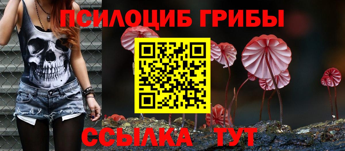 Урус-Мартан  Галлюциногенные грибы Psilocybe  наркота  Вход с VPN 