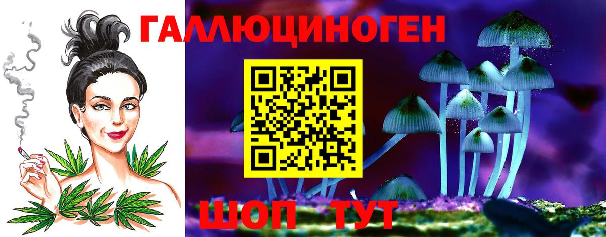 Псилоцибиновые грибы прущие грибы Урус-Мартан